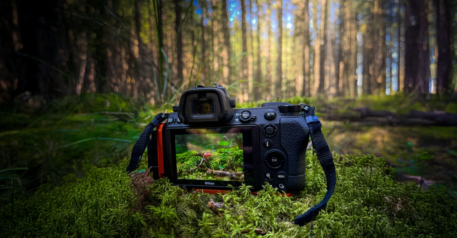 nature photography blog