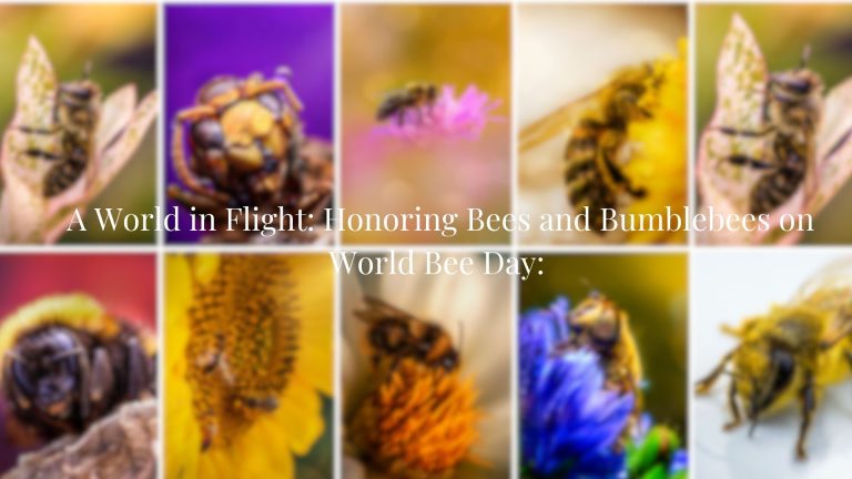 A World in Flight: Honoring Bees and Bumblebees on World Bee Day