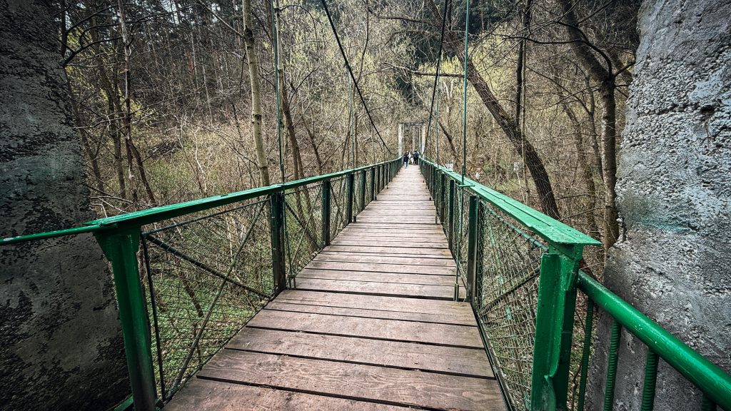 Suspended green bridge in Turda Gorge forest