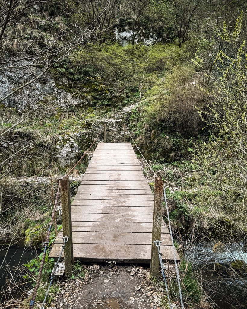 Wooden bridge surrounded by spring vegetation in Turda Gorge, near the ridge trail